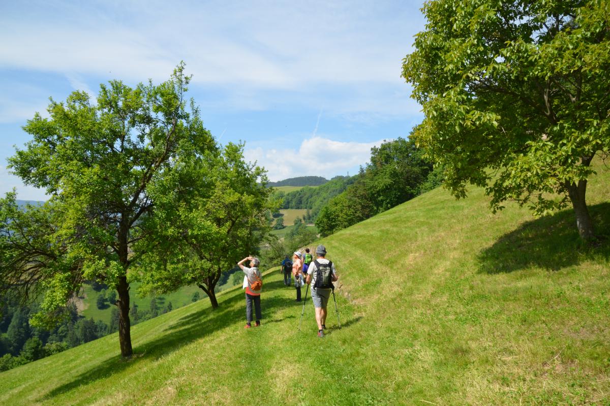 Rielingerhof 06.06.2019